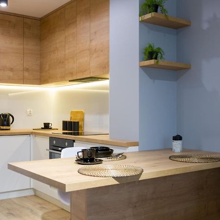 Apartament Przy Fabrycznym 罗兹 外观 照片