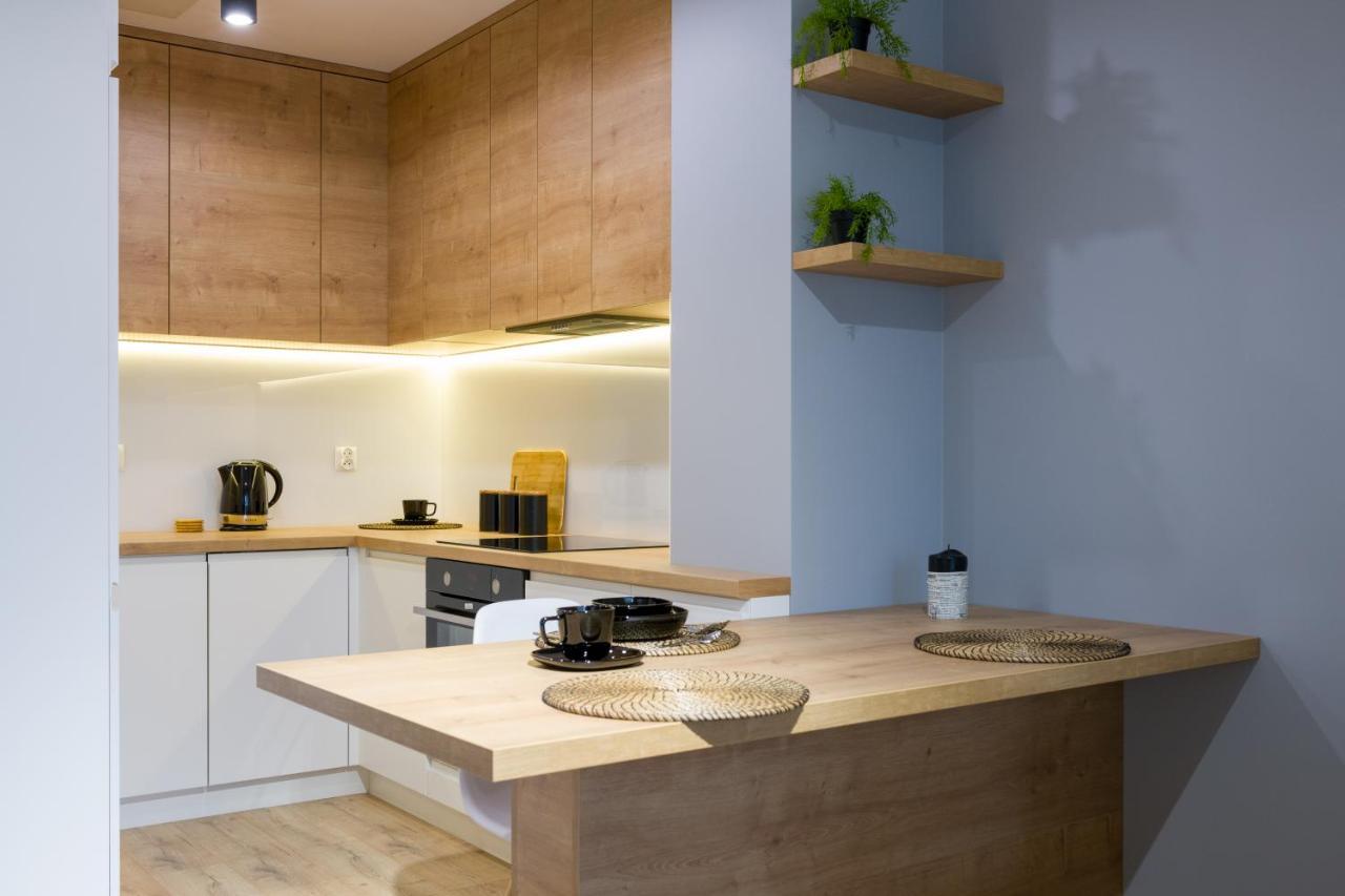 Apartament Przy Fabrycznym 罗兹 外观 照片
