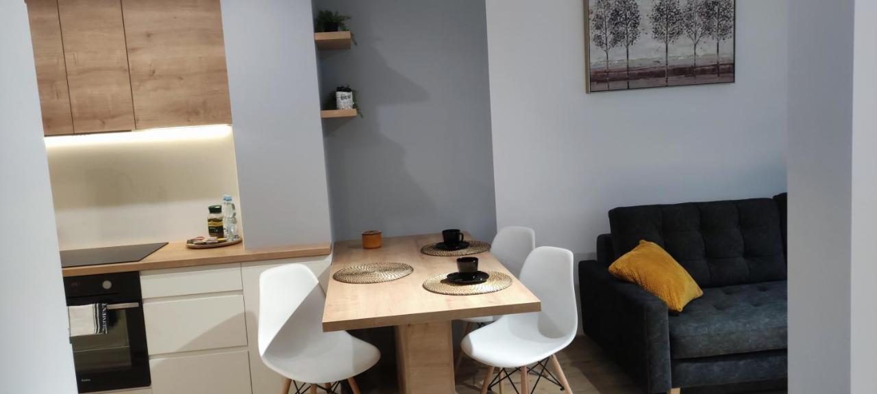 Apartament Przy Fabrycznym 罗兹 外观 照片