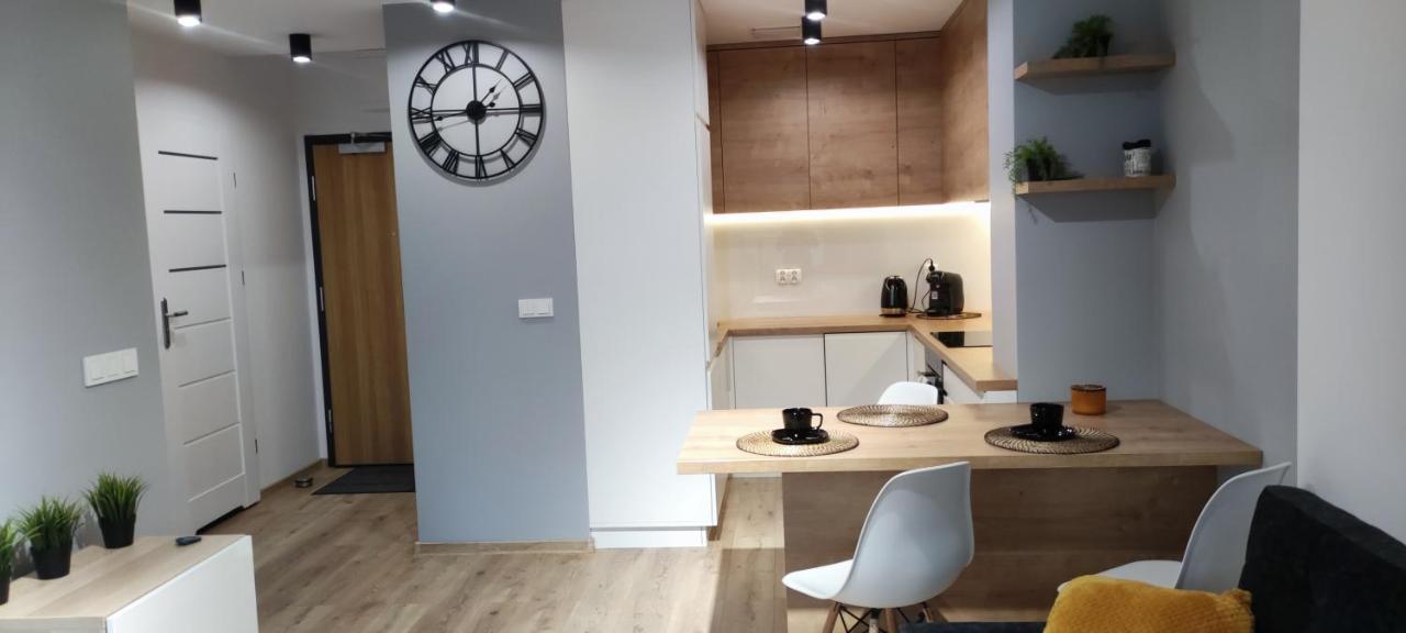 Apartament Przy Fabrycznym 罗兹 外观 照片